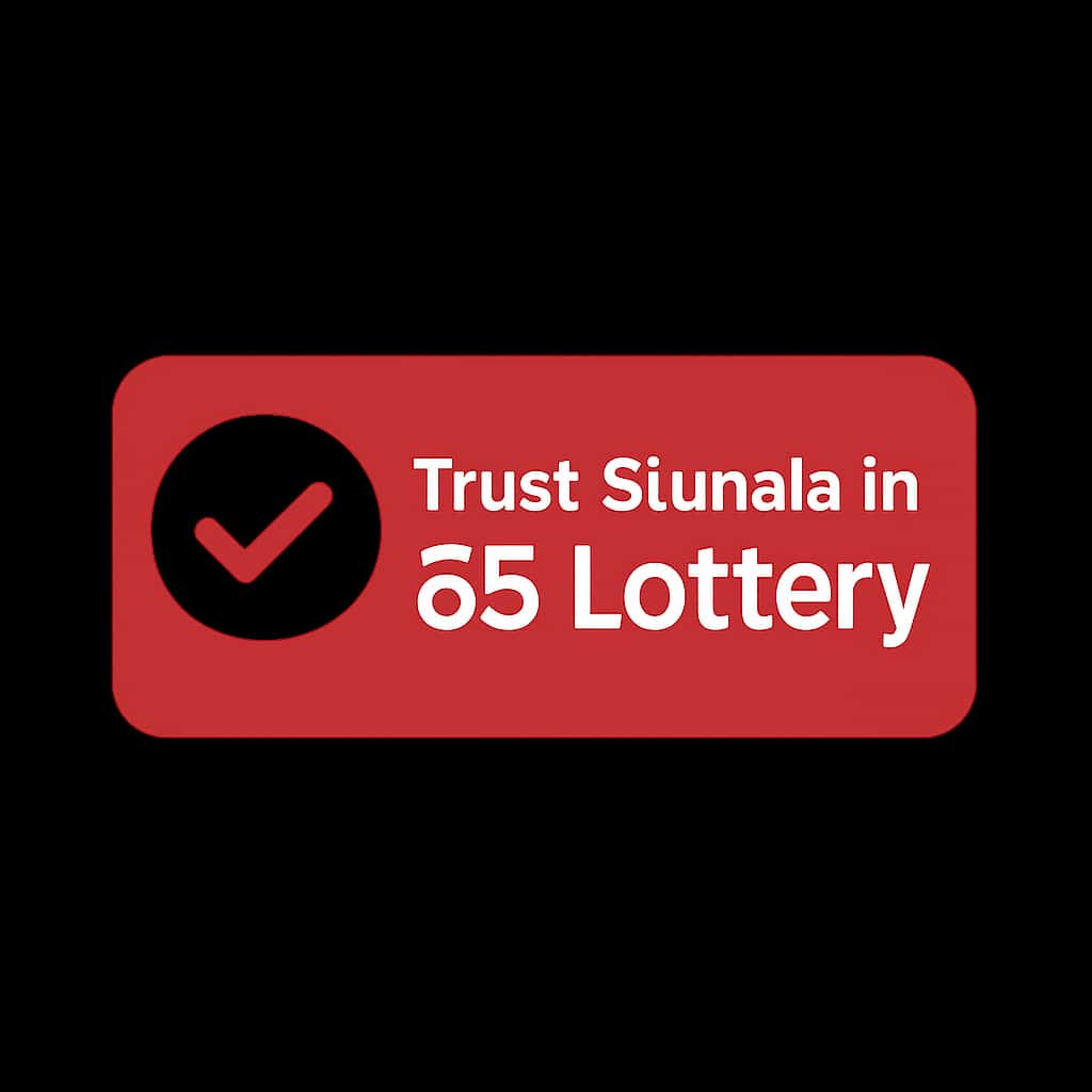 A badge symbolizing security and trust in the 85 Lottery platform.